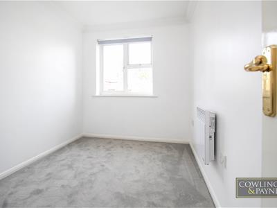 Picture 8